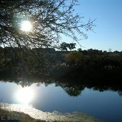 Illegal miner drowns while trying to escape from police