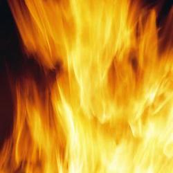 Three family members killed in fire