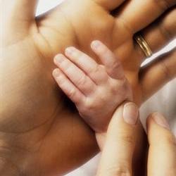 SA facing adoption crisis