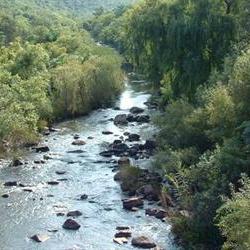 Prysstrategie vir water moet hersien word: Agri SA