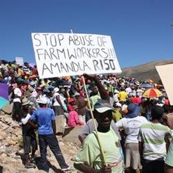 Farmworkers' wage increase to come into effect on Friday