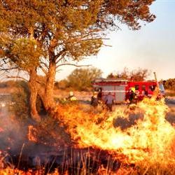 WoF geared for fires in FS and NC