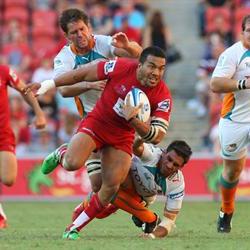 The Cheetahs stem the 'Red Tide' in Bloem