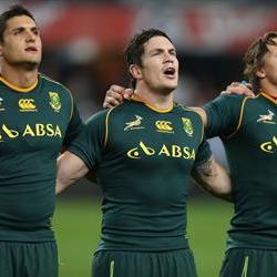 Francois Louw released from Springbok squad