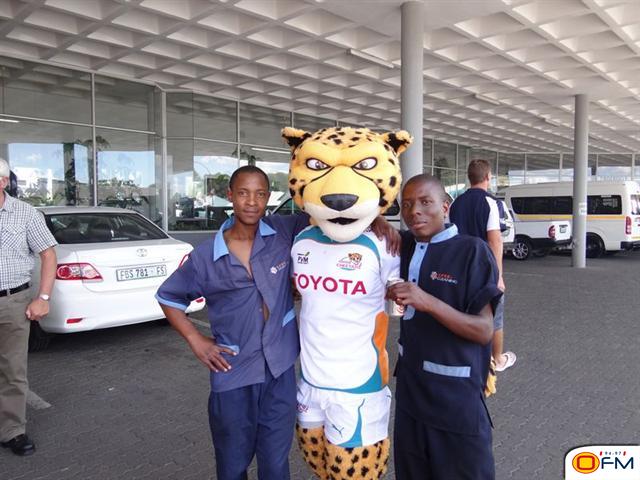 oranje toyota bloemfontein #6