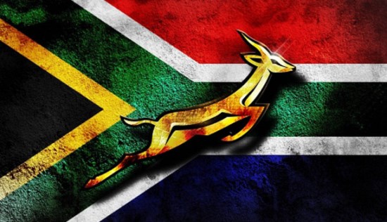 http://www.rugby-talk.com/wp-content/uploads/2014/12/Springbok-Logo2.jpg