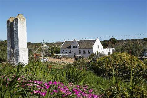 Groote Post Vineyard