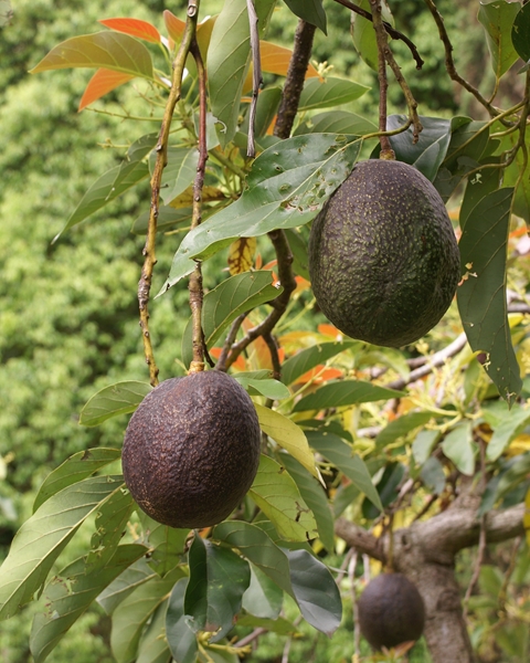 What’s new in Farmer’s Weekly? | News Article