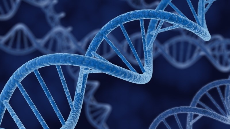 Amnesty International SA calls for updates on DNA backlogs | News Article