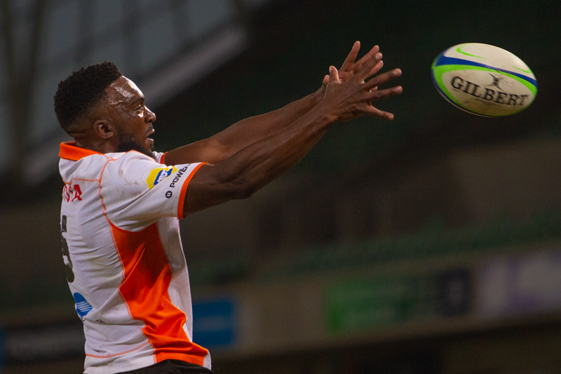 Cheetahs riddled with injuries | News Article