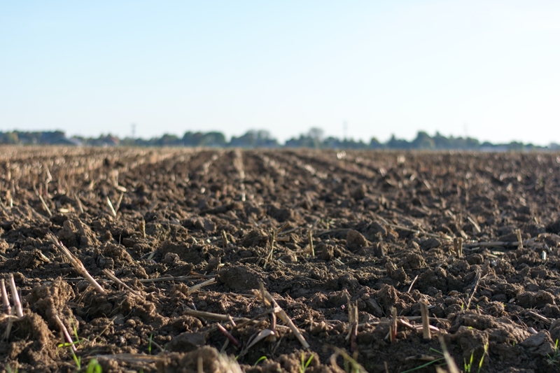 Landbounuus: Grondbelasting in Tokologo-distrik met sowat 400% verhoog | News Article