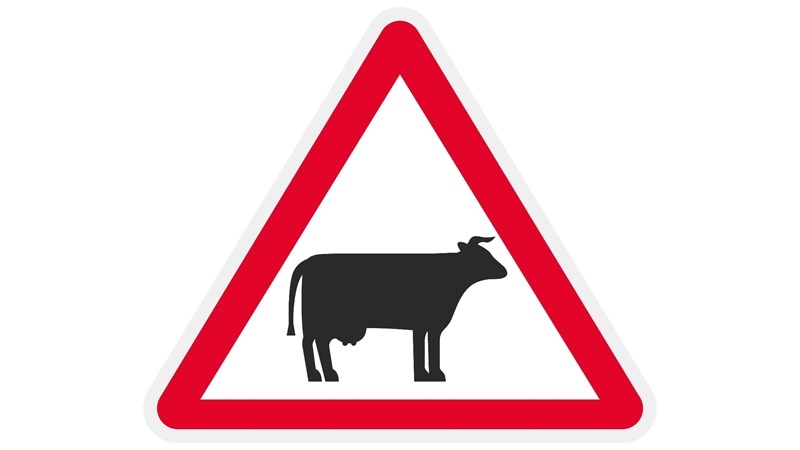 Loslopende diere op paaie ernstige probleem in Vrystaat Loslopende diere op paaie ernstige probleem in Vrystaat | News Article