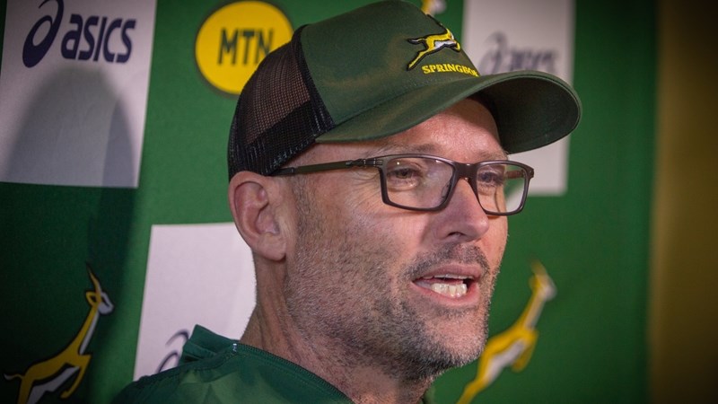Springbok fightback undone by inaccuracy says Nienaber | News Article