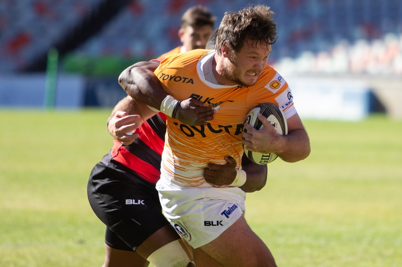 Cheetahs tackle Zimbabwe on Saturday | News Article