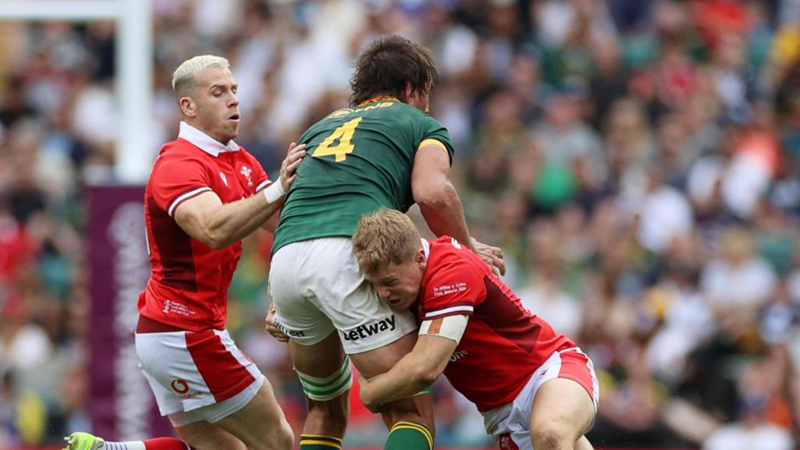 Springboks continue winning ways with win over Wales | News Article