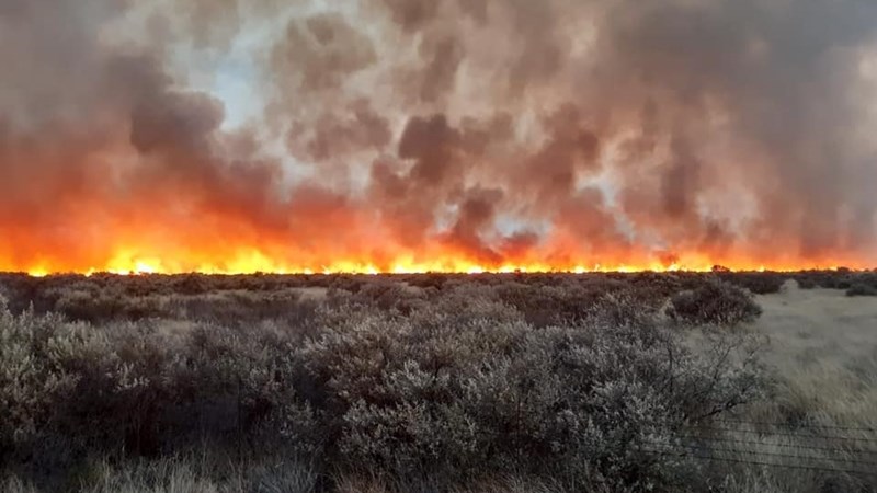 Boere in Vaaldriehoek benodig dringend voer ná brande Boere in Vaaldriehoek benodig dringend voer ná brande | News Article