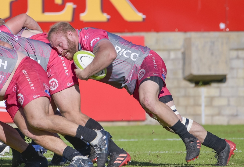 Bullish Westraadt up for the challenge in Griquas return | News Article