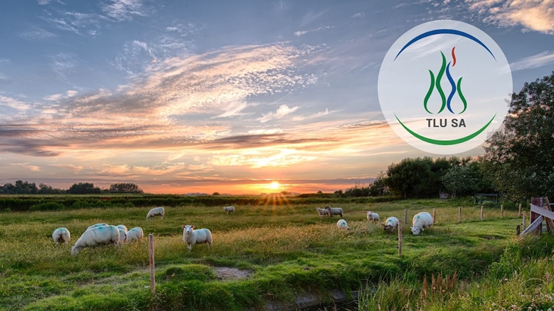 TLUSA bedank boere vir hul bydrae in 2023 | News Article