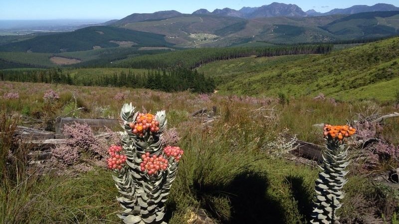George joins World Trail Running Series George joins World Trail Running Series | News Article