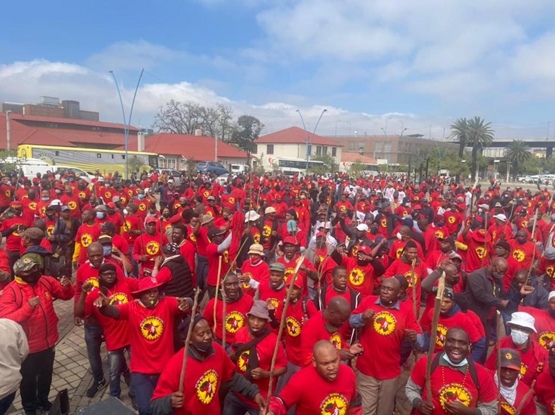 Steel sector workers return to work | News Article