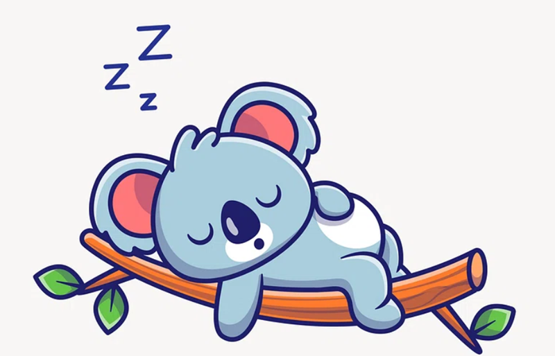 Weird Wide Web – Dinge wat jy nooit sien in jou drome