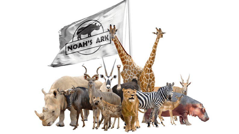 Site for Noah’s Ark in South Africa ready for construction | News Article