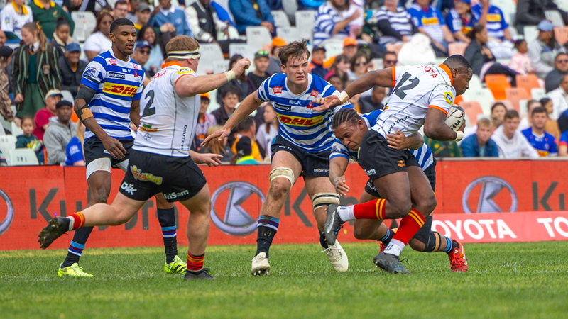 Cheetahs will fight to maintain momentum | News Article