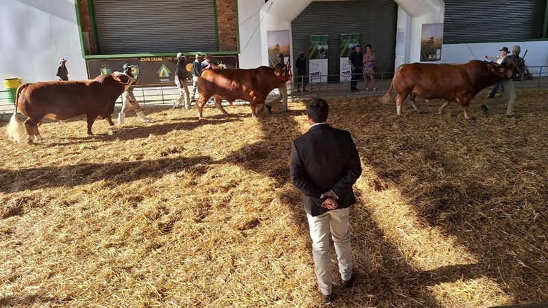 NAMPO Alfa 2024: ’n Veefees met die beste van die beste NAMPO Alfa 2024: ’n Veefees met die beste van die beste | News Article