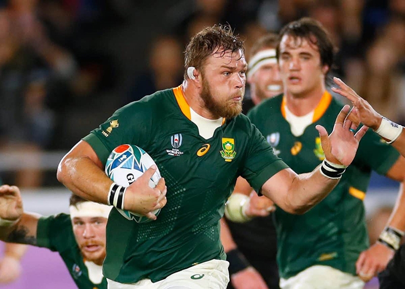 Vermeulen to lead Boks against Wallabies | News Article