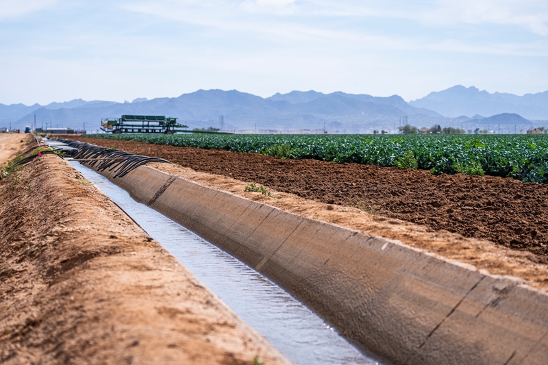 Uitspraak oor watergebruikregte in landboukringe verwelkom | News Article