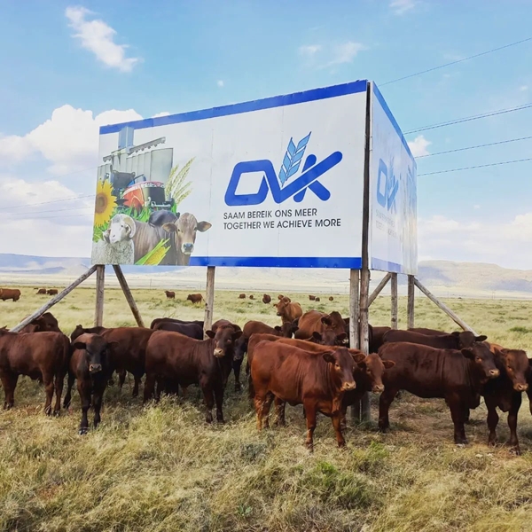 OVK sluit 2022 op hoogtepunt af | News Article