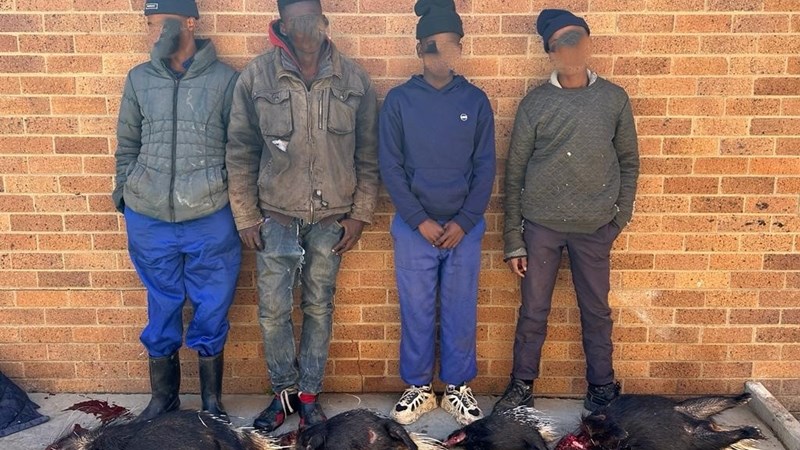 Dieremishandeling, onwettige jagtogte bekommer DBV Dieremishandeling, onwettige jagtogte bekommer DBV | News Article