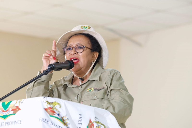 Free State premier renews road safety plea after fatal N3 crash | News Article