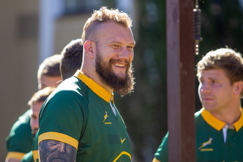 Snyman to earn 50th cap against Ireland | News Article