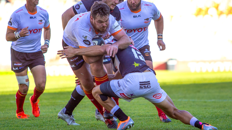 Former Cheetahs hooker Van der Merwe eyes Bok opportunity Former Cheetahs hooker Van der Merwe eyes Bok opportunity | News Article