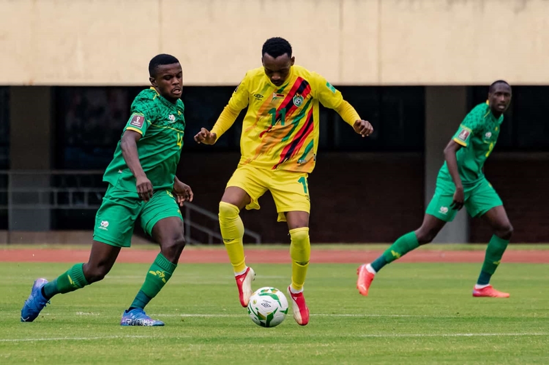 SAFA makes more tickets available for Bafana vs Zimbabwe qualifier | News Article
