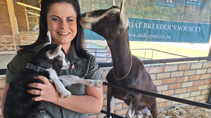 Nampo Alfa: SA Melkboktelers fokus op beter gene | News Article