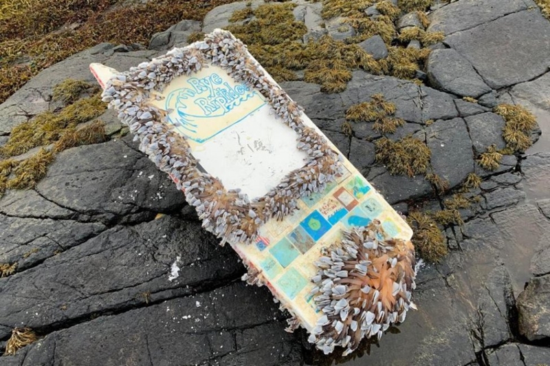 Weird Wide Web - Home-made mini-boat sails from New Hampshire to Norway | News Article