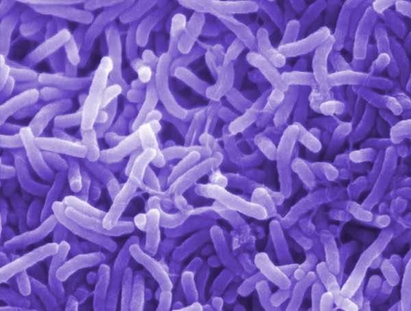 Matjhabeng to conduct water tests for cholera  | News Article