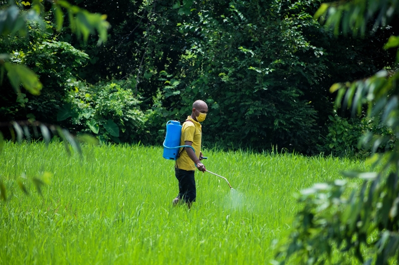Wat is nuut in Farmer's Weekly? | News Article