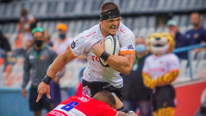 Cheetahs welcome Van der Merwe’s timely return Cheetahs welcome Van der Merwe’s timely return | News Article