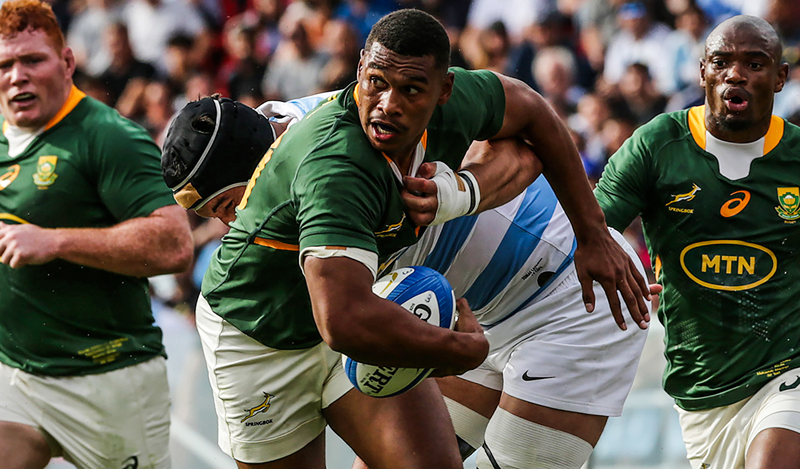 Willemse ruled out for final Rugby Championship Test | News Article
