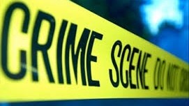 Illegal diamond miners nabbed in NC Illegal diamond miners nabbed in NC | News Article