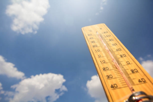 Verwagte weer vir plantseisoen: ’n Uitdagende begin | News Article