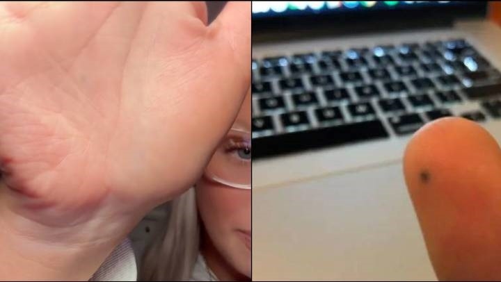 Weird Wide Web – Spog jy nog met jou jeug se potloodmerke?  | News Article