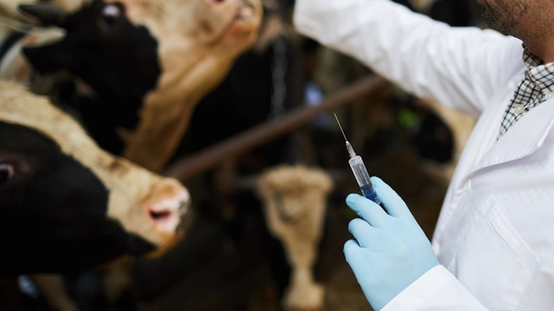 Hou Vrystaat bek-en-klouseer-vry, vra Vrystaat Landbou Hou Vrystaat bek-en-klouseer-vry, vra Vrystaat Landbou | News Article