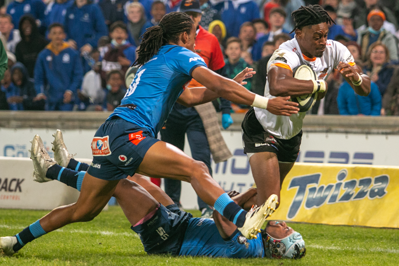 Cheetahs target 80 minute performance against the Bulls | News Article