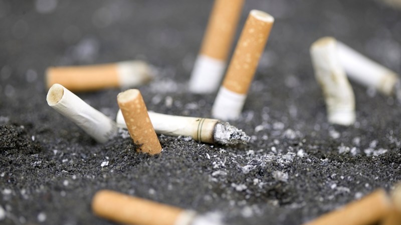 North West Health appeal to smokers: Quit! | News Article