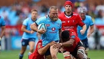 Bulls out of Champions Cup after loss to Saints Bulls out of Champions Cup after loss to Saints | News Article