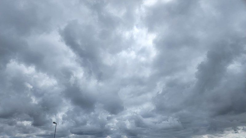 Meer as 20mm reën oor grootste deel van Vrystaat verwag Meer as 20mm reën oor grootste deel van Vrystaat verwag | News Article